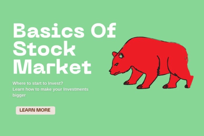 Stock Market Basics