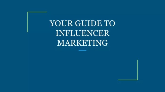 Influencer Marketing Guide