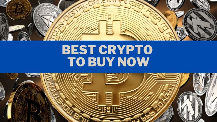 Invest cryptocurrencies cryptimi