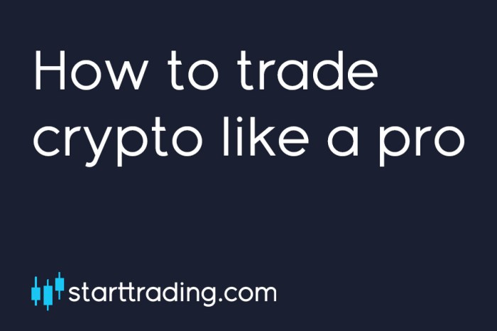 How to Trade Crypto Like a Pro